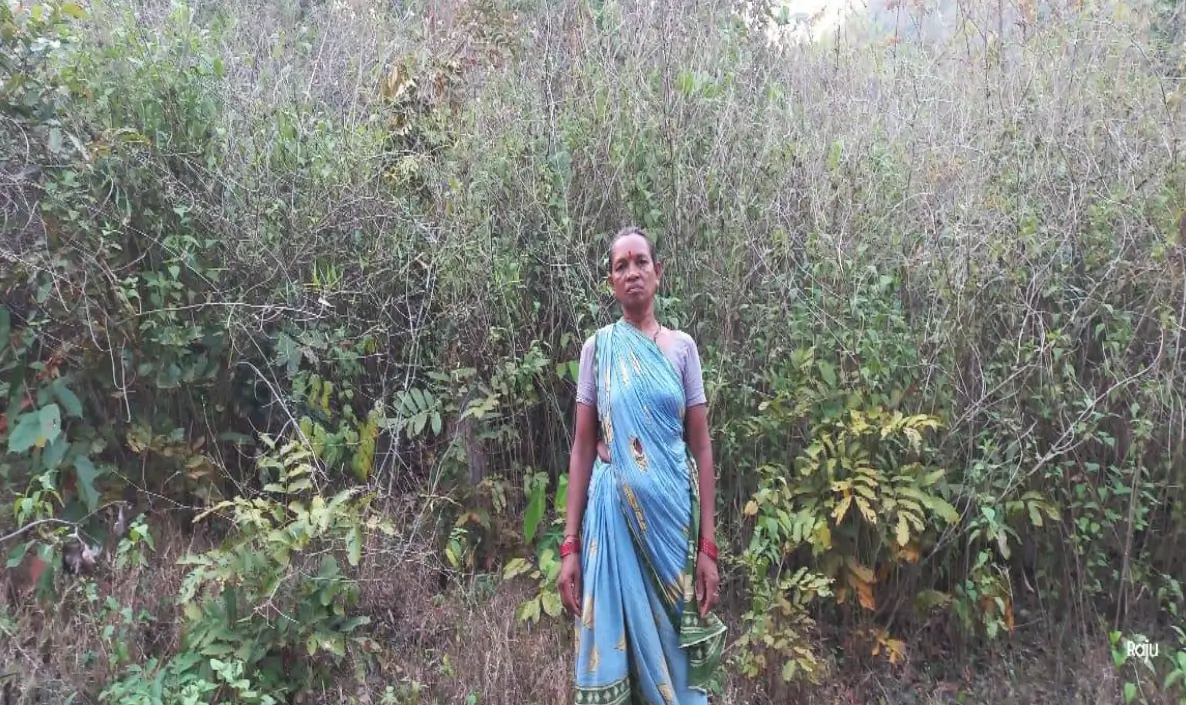 Screenshot-2024-12-01-114559.webp